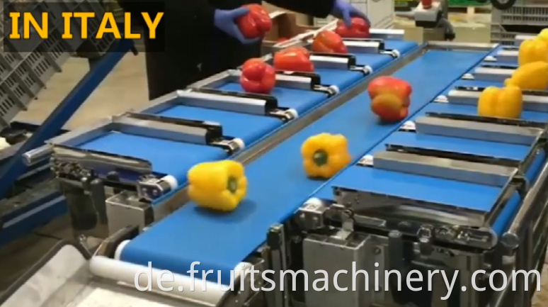 Fruits And Vegetables Weighing And Packaging Machine